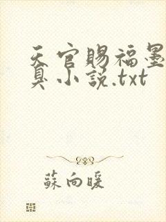 天官赐福墨香铜臭小说.txt