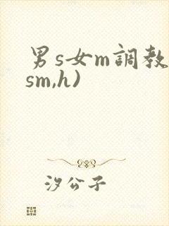 男s女m调教(sm,h)
