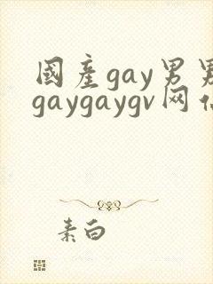 国产gay男男gaygaygv网站