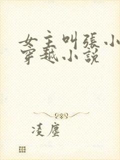 女主叫张小婉的穿越小说