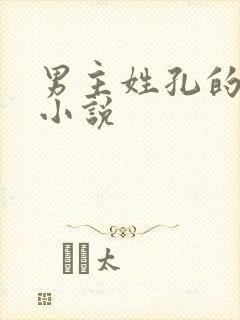 男主姓孔的现代小说