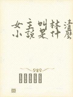 女主叫林清雪的小说是什么