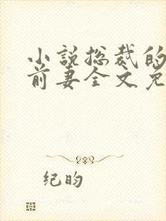 小说总裁的替身前妻全文免费阅读