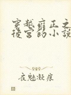 穿越雍正之极品后宫的小说