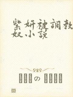 紫妍被调教成肉奴小说