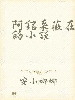 阿铭采薇在人间的小说