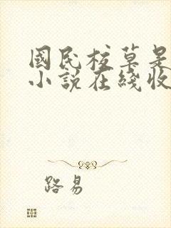 国民校草是女生小说在线收听封面