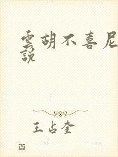 云胡不喜尼卡小说