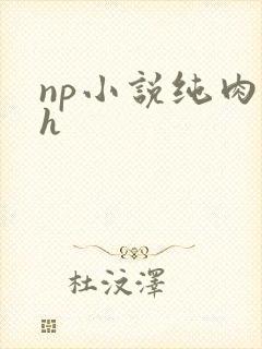 np小说纯肉高h
