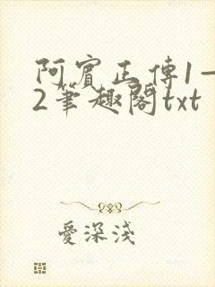 阿宾正传1—72笔趣阁txt