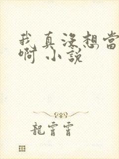 我真没想当皇帝啊 小说