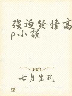 强迫发情高hnp小说