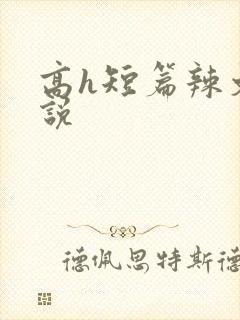 高h短篇辣文小说