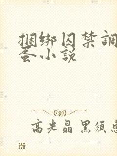 捆绑囚禁调教跳蛋小说封面