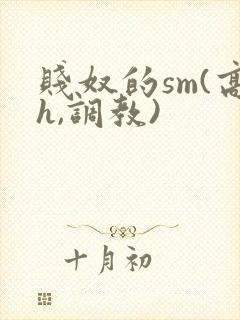 贱奴的sm(高h,调教)