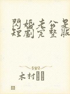 闪婚老公是总裁短剧完整版免费看