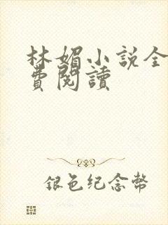 林媚小说全文免费阅读
