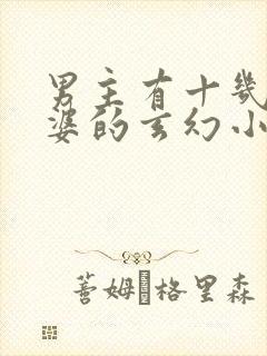 男主有十几个老婆的玄幻小说封面