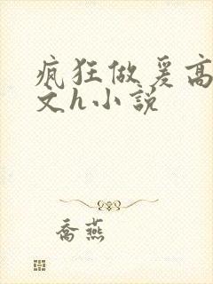 疯狂做爰高辣h文h小说