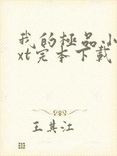 我的极品小姨txt完本下载