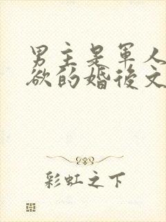 男主是军人很重欲的婚后文封面