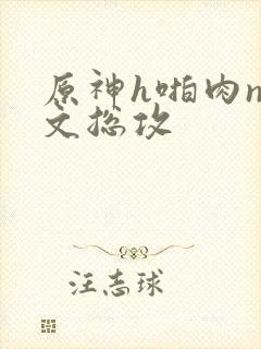 原神h啪肉np文总攻