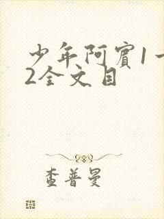 少年阿宾1一72全文目