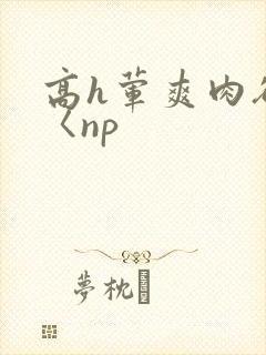 高h荤爽肉欲文〈np