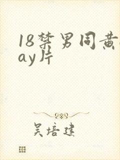 18禁男同黄gay片