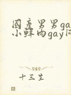 国产男男gay小鲜肉gay网站亚洲