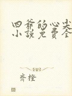 四爷的心尖宠妃小说免费全文阅读