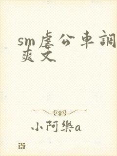 sm虐公车调教爽文