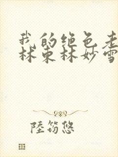 我的绝色老板娘林东林妙雪封面