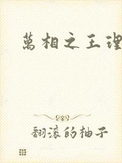 万相之王理李洛