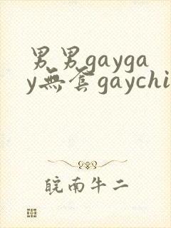 男男gaygay无套gaychina封面