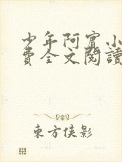 少年阿宾小说免费全文阅读无删减