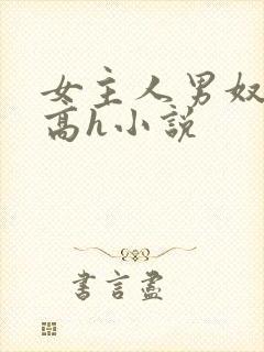 女主人男奴调教高h小说封面