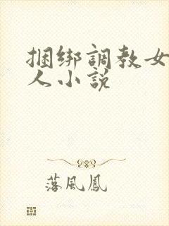 捆绑调教女的多人小说封面