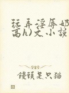 玩弄淫辱奶头(高h)文小说