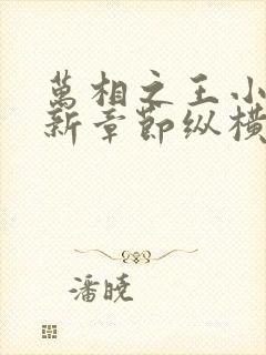 万相之王小说最新章节纵横全文阅读封面