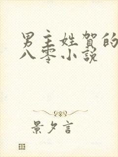 男主姓贺的重生八零小说