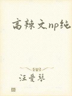 高辣文np纯肉