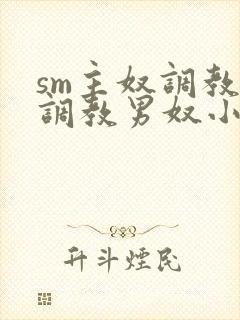 sm主奴调教:调教男奴小说封面