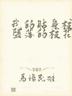 我的贴身校花之堕落的校花