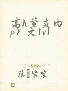 高h荤爽肉〈np〉文1v1