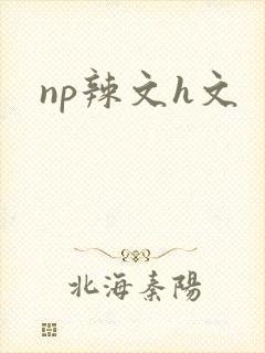 np辣文h文