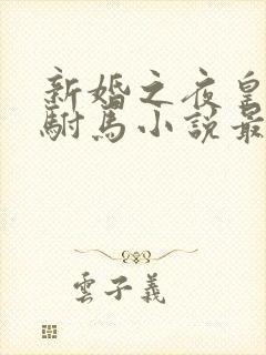 新婚之夜皇帝宠驸马小说最新章节更封面