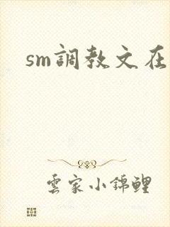 sm调教文在线