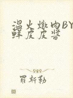 温火炖肉BY海鲜皮皮酱