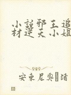 小说邪王追妻废材逆天小姐